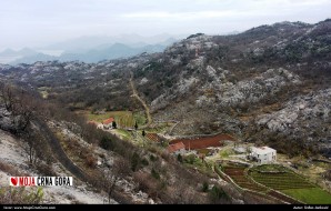 Selo Gornja Brova (Cetinje)