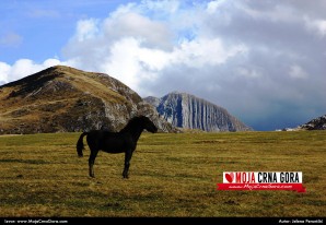 Visoravan Pišče i Prutaš (Durmitor)