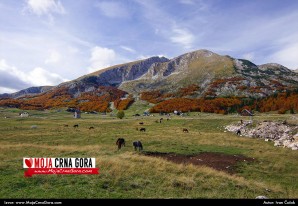 Boje jeseni na Durmitoru: Selo Virak i Savin kuk (Žabljak)