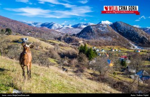 Jesenja panorama: selo Lipovska Bistrica (Kolašin)