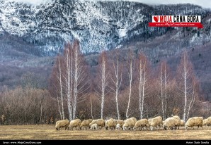 Februarska razglednica iz sela Brezna (Plužine)