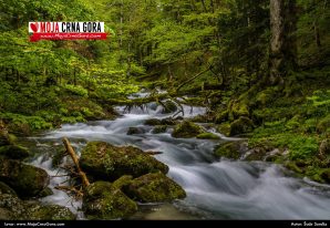 Proljećna razglednica: Biogradska rijeka